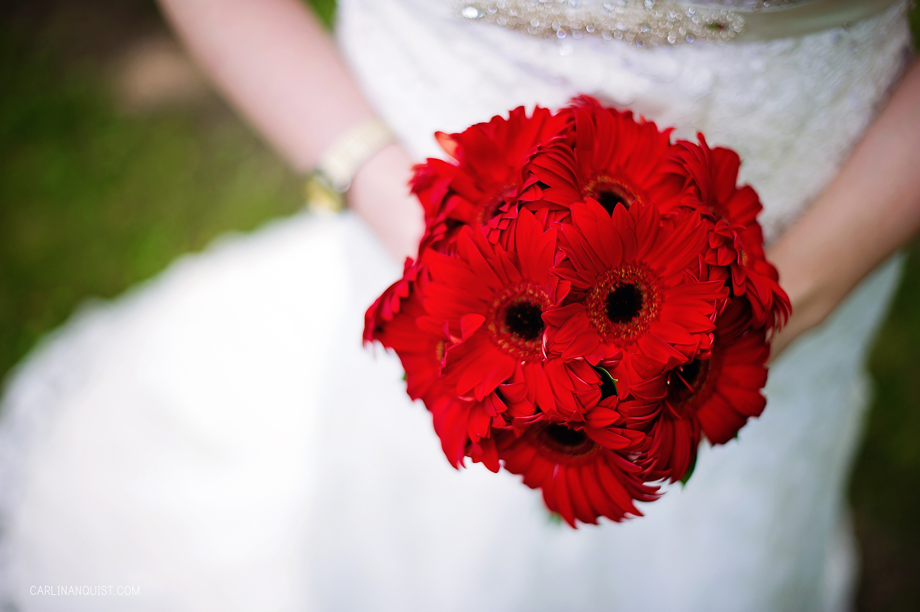 Patrick & Cindy Wedding // Red Bridal Bouquet | Gerbera Daisies | Saskatoon Wedding Photographer | Carlin Anquist Photography