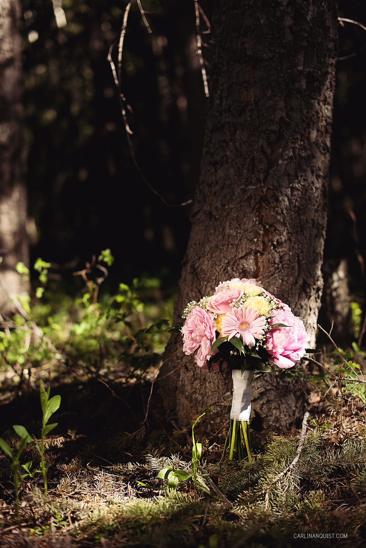 Bridal Bouquet | Crowsnest Pass Wedding Photographer | Carlin Anquist Photography