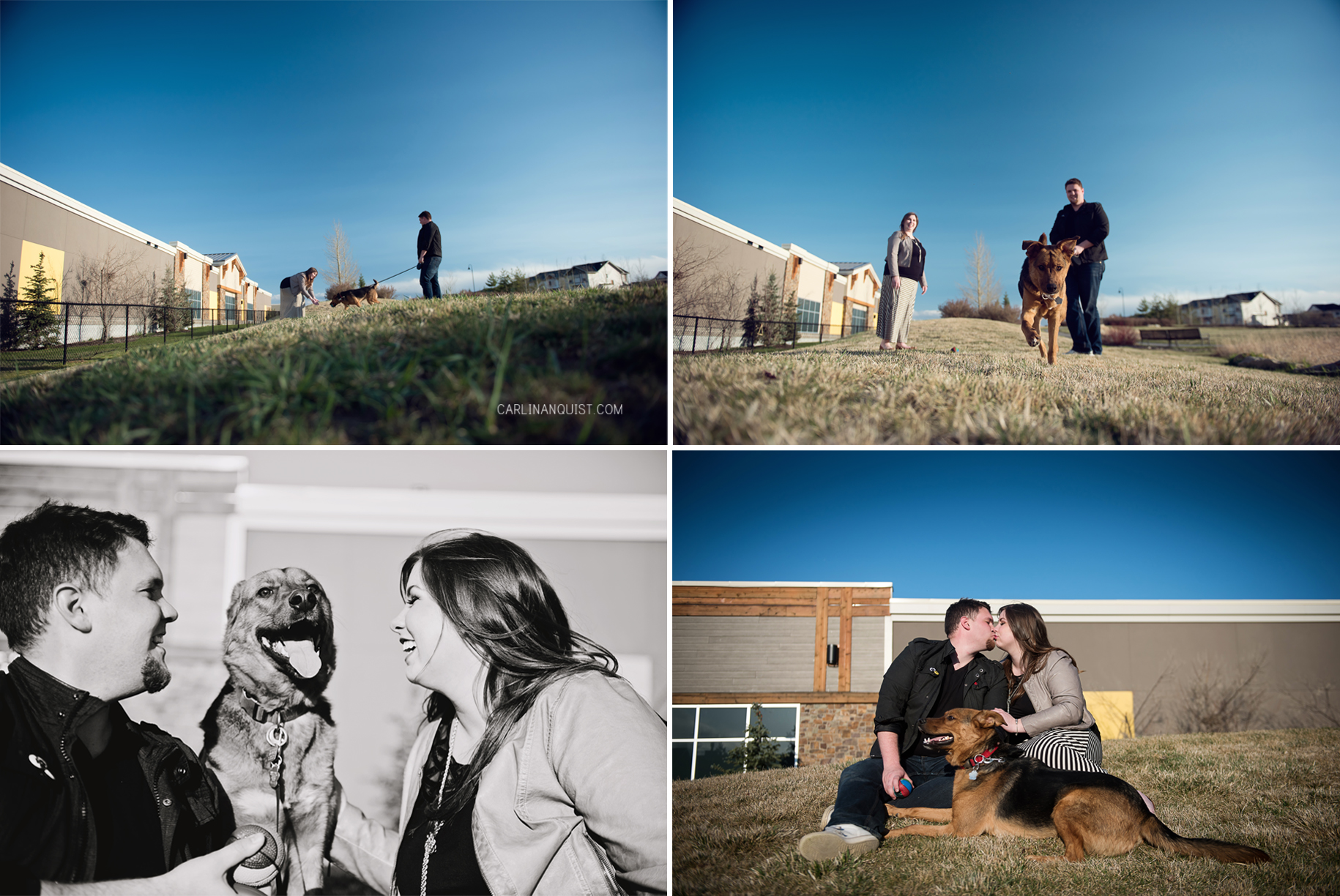 Engagement Photos with Dog | Calgary Wedding Photographers | Carlin Anquist Photography