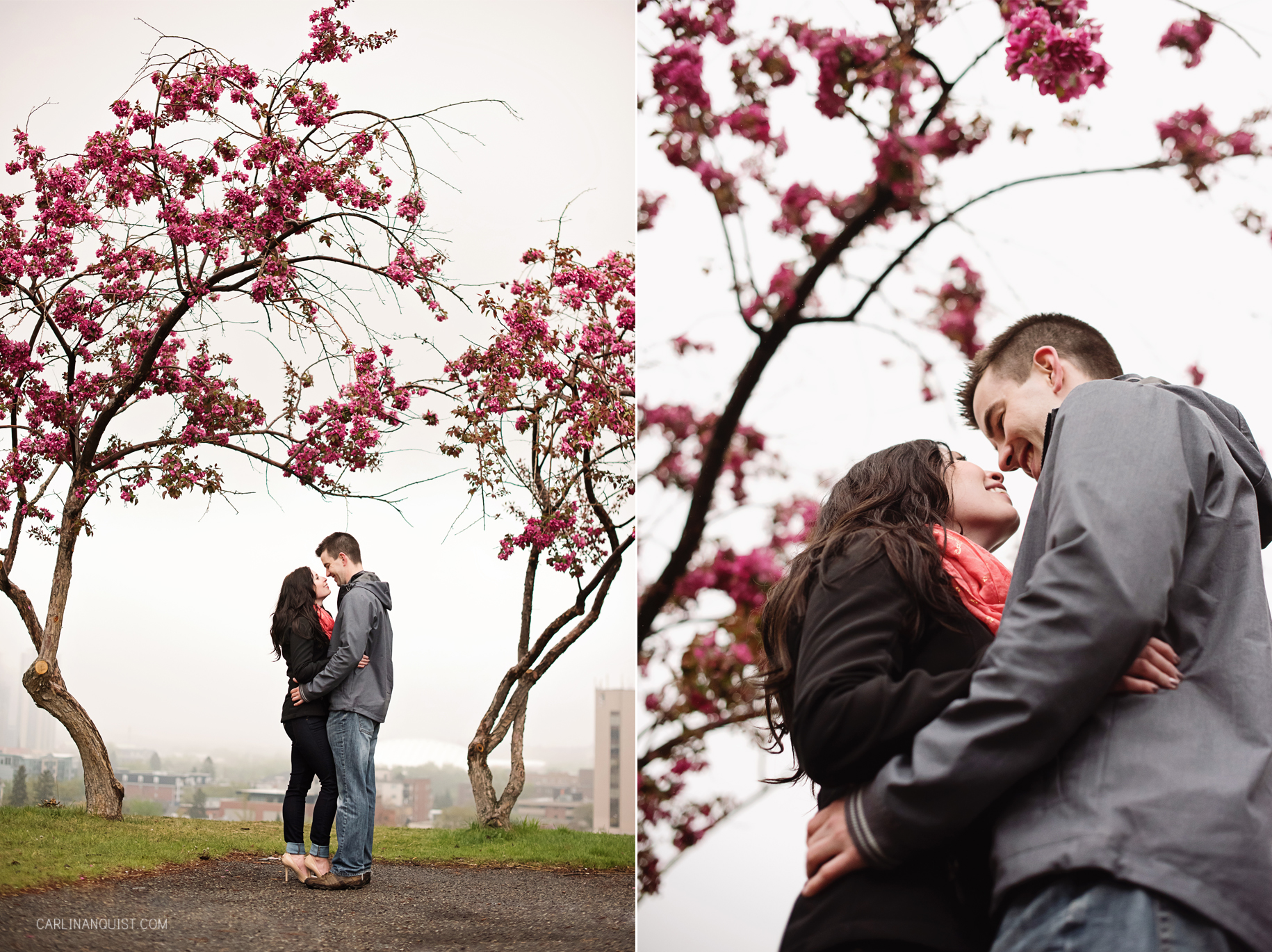 Blossoming Trees | Spring Engagement | Calgary Wedding Photographer | Carlin Anquist Photography
