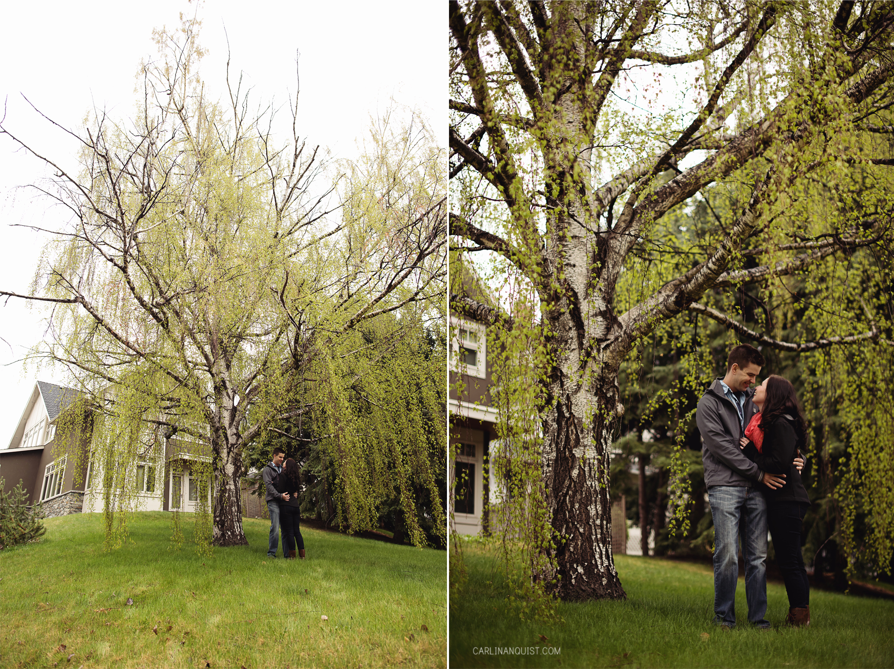 Weeping Birch Tree | Spring Engagement | Calgary Wedding Photographer | Carlin Anquist Photography