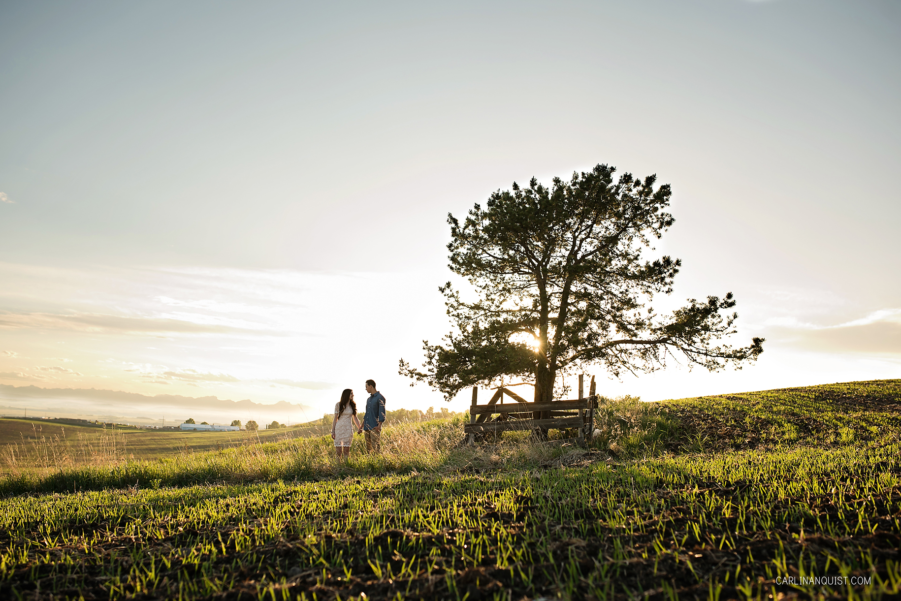 Lone Tree | Sunset | Natural Engagement Photos | Carlin Anquist Photography