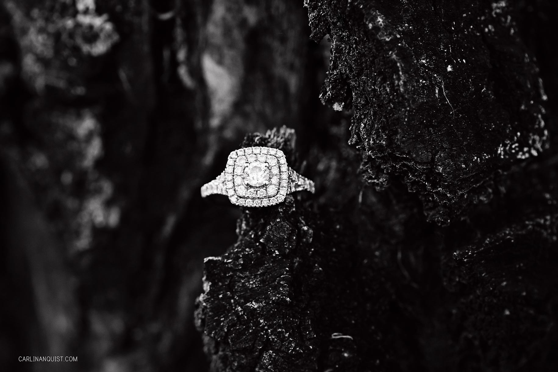Michael Hill | Engagement Ring | Carlin Anquist Photography