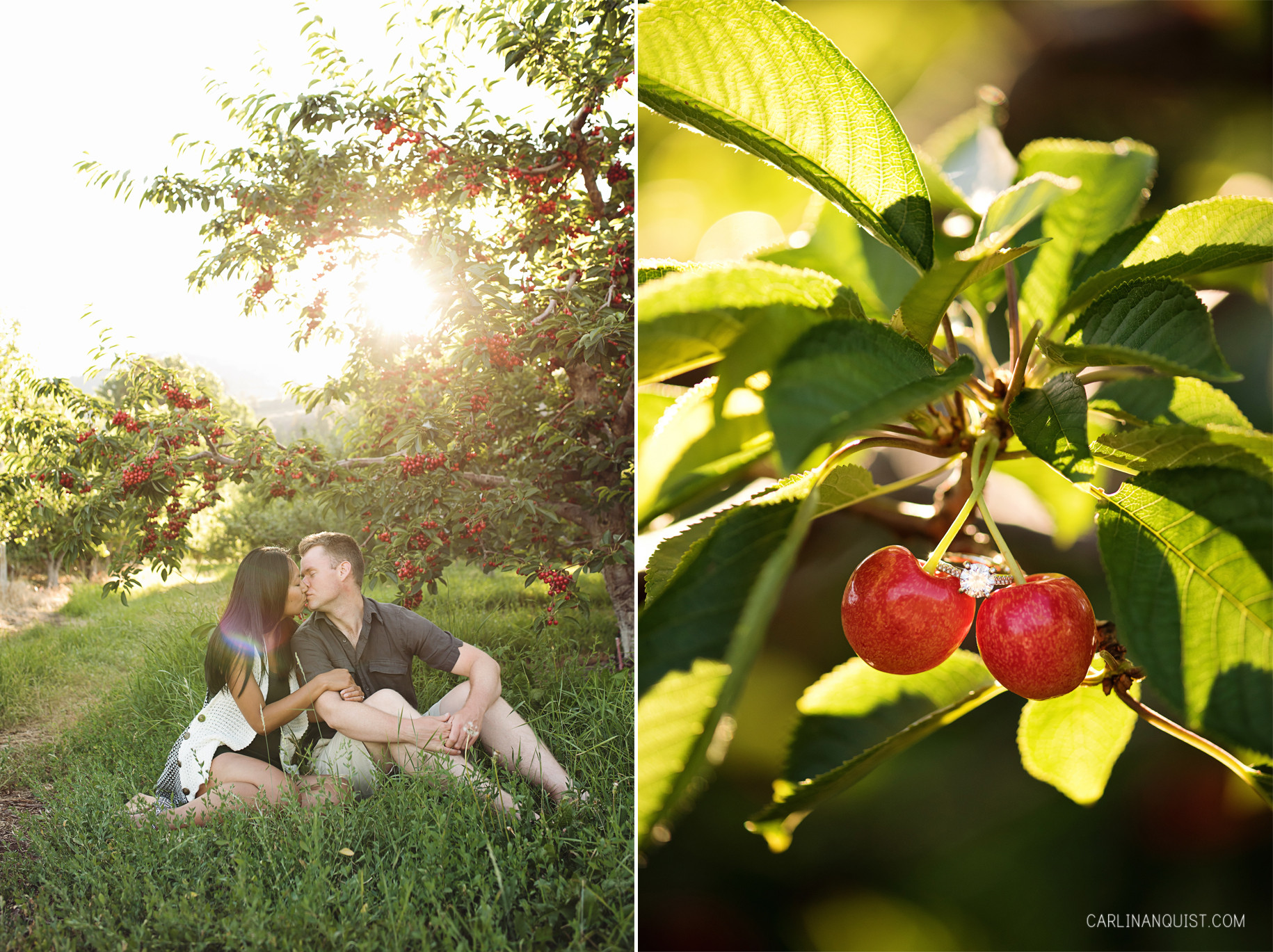 Orchard Engagement Photos | Cherries | Engagement Ring | Carlin Anquist Photography
