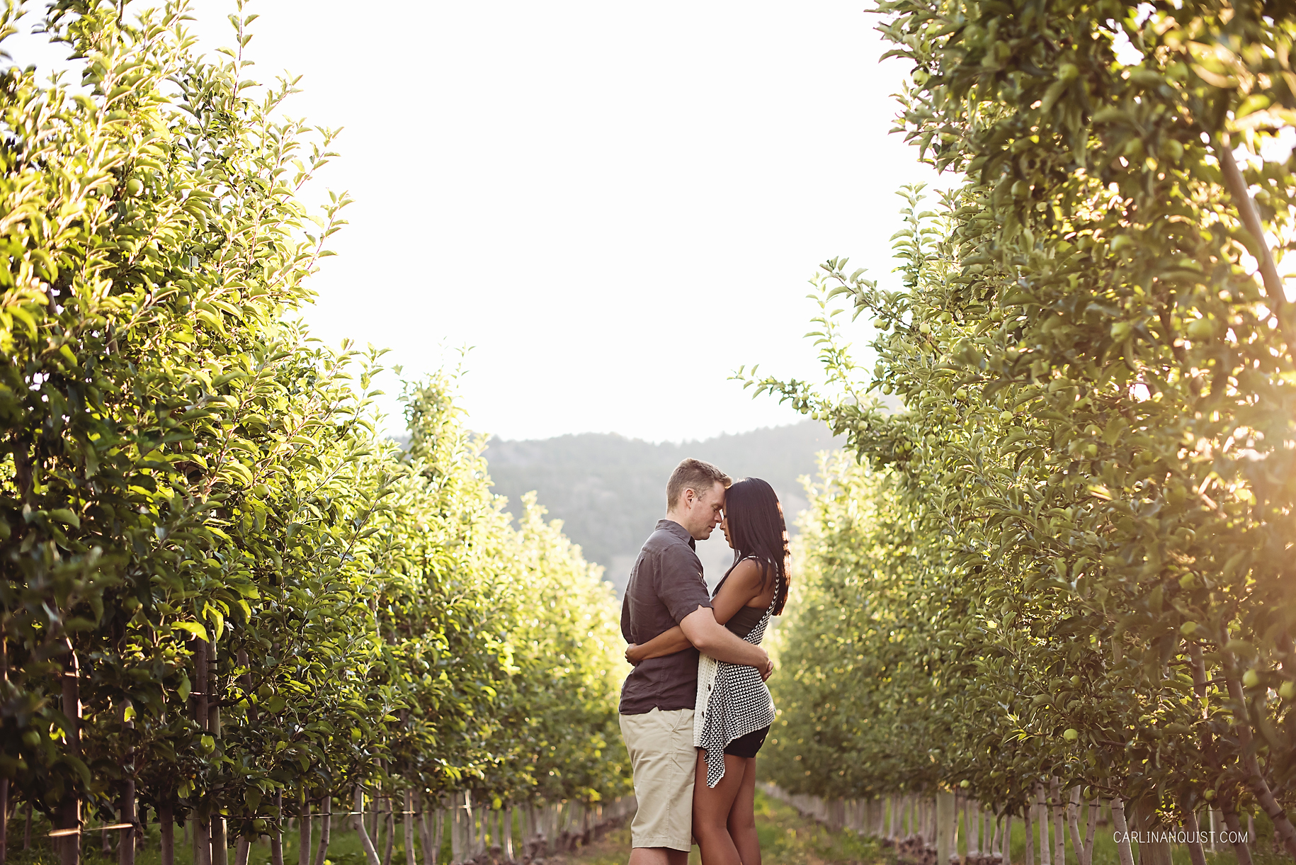 Okanagan Engagement Photos | Apple Orchard | Carlin Anquist Photography