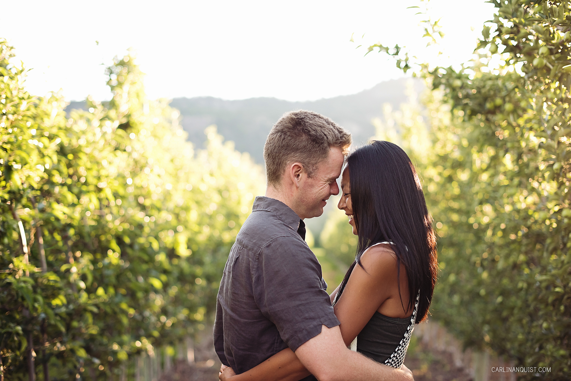 Okanagan Engagement Photos | Apple Orchard | Carlin Anquist Photography
