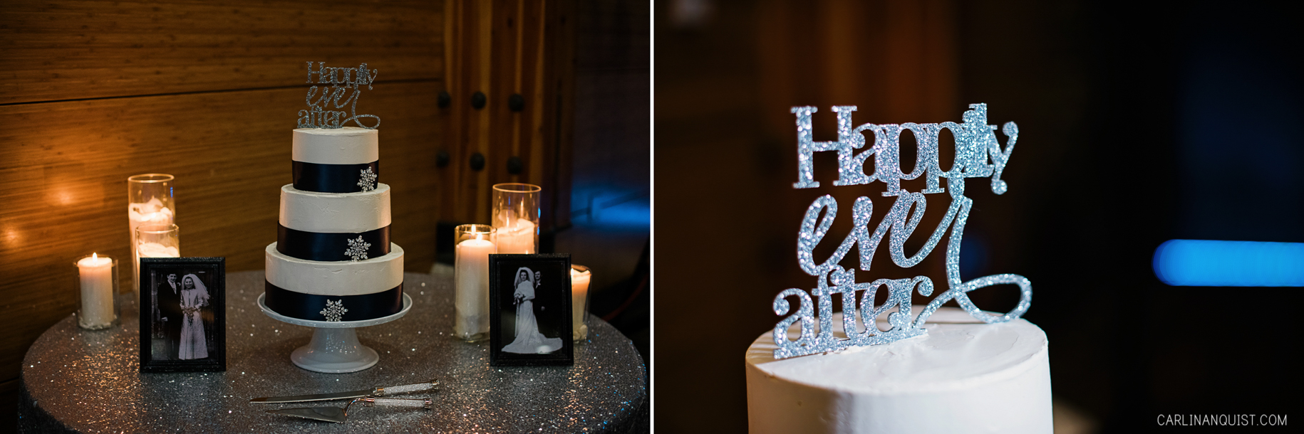 White and Blue Winter Wedding Cake | Calgary Zoo Wedding Photographers