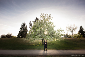 Calgary Engagement Photographer | May Day Trees | Sunset