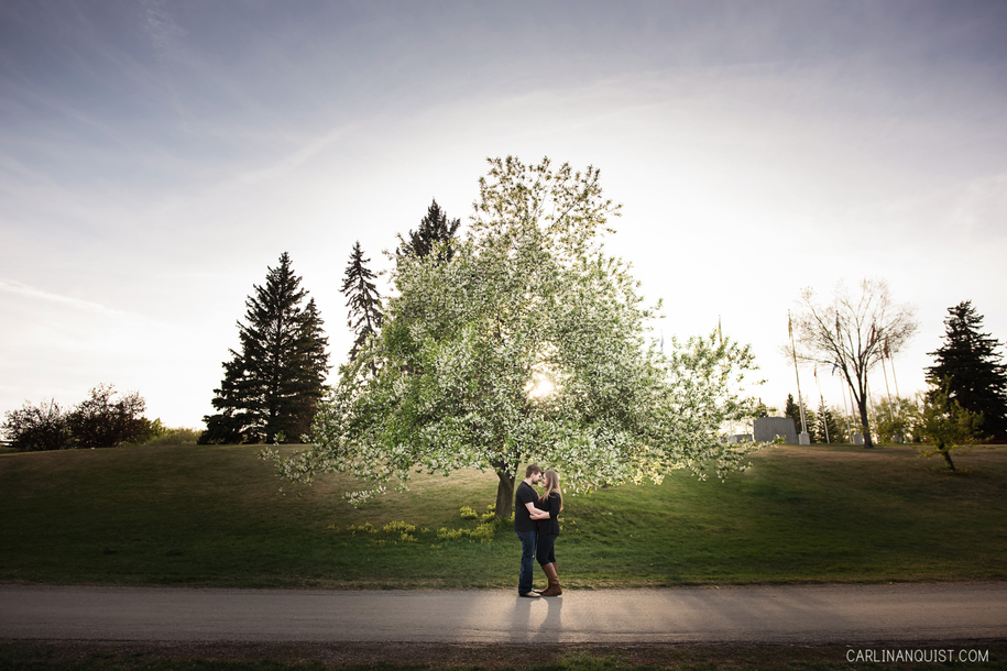 Calgary Engagement Photographer | May Day Trees | Sunset