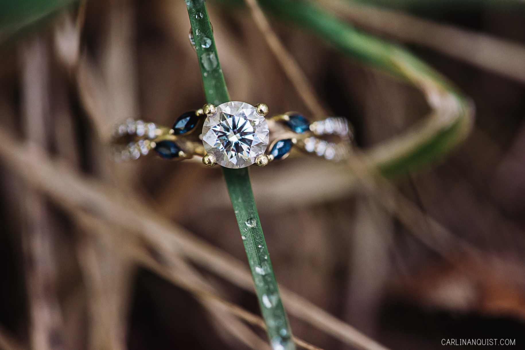 Elbow Falls Engagement Photos | Braided Engagement Ring
