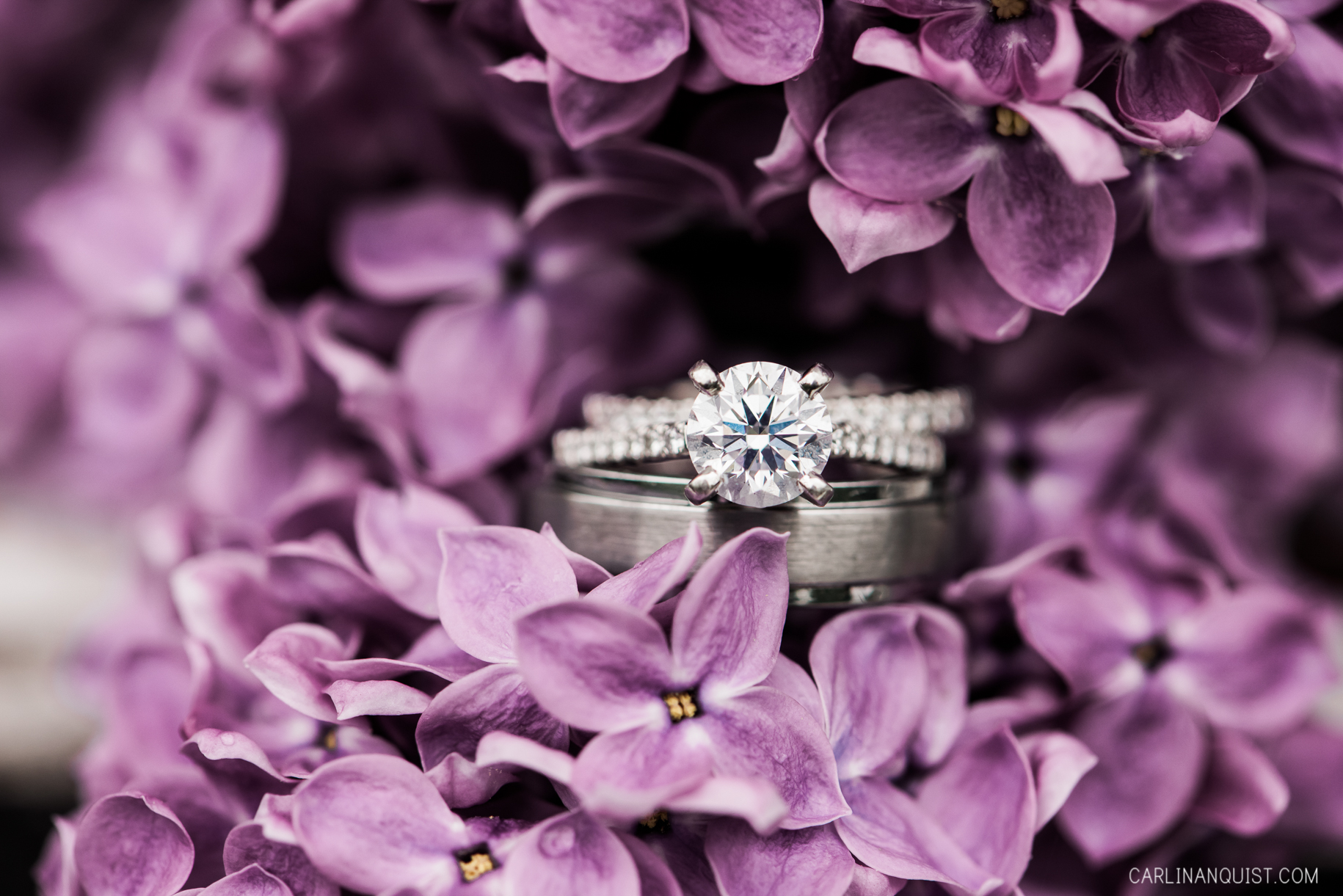 Wedding Rings | Lilacs