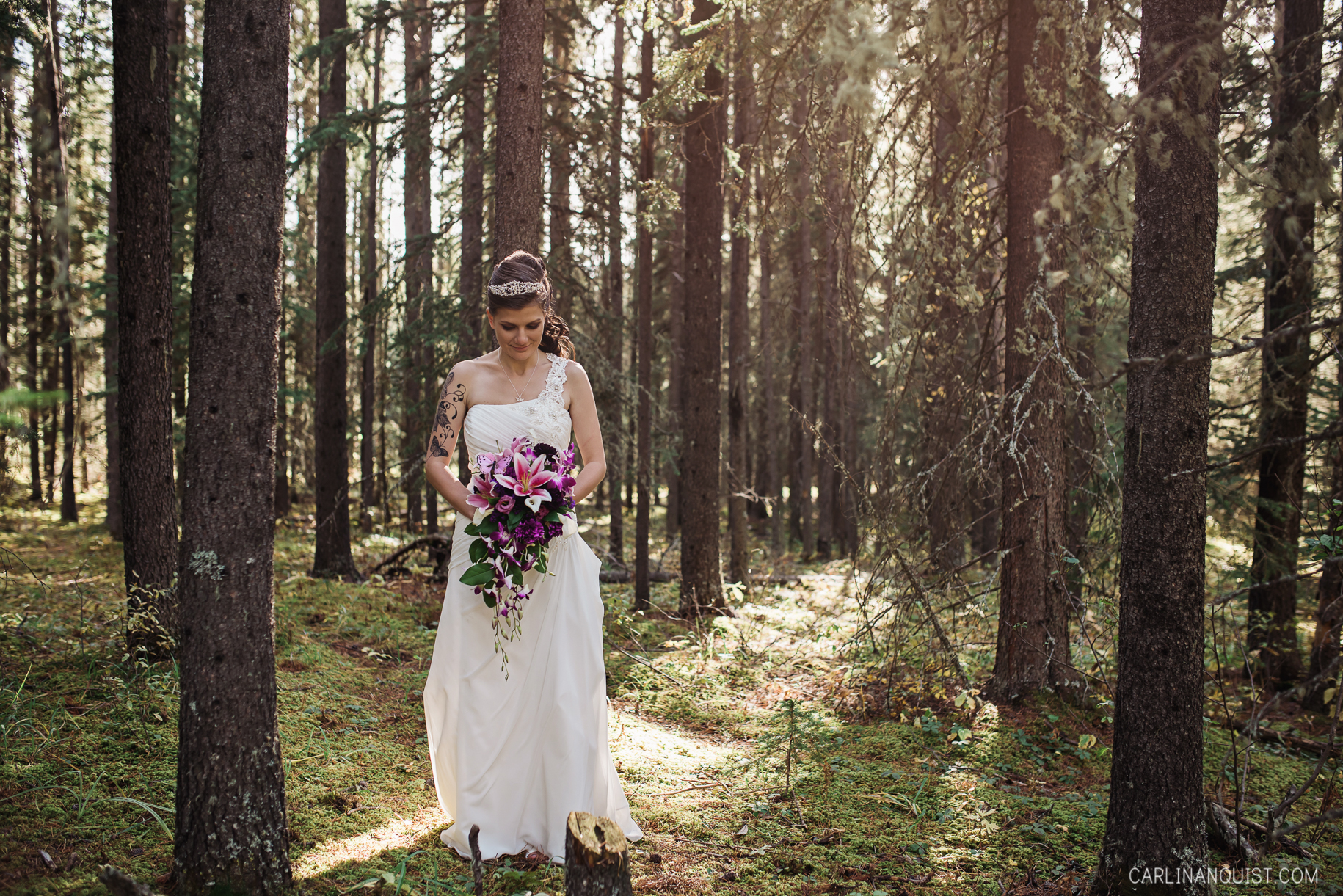 Whispering Pines Wedding Photos
