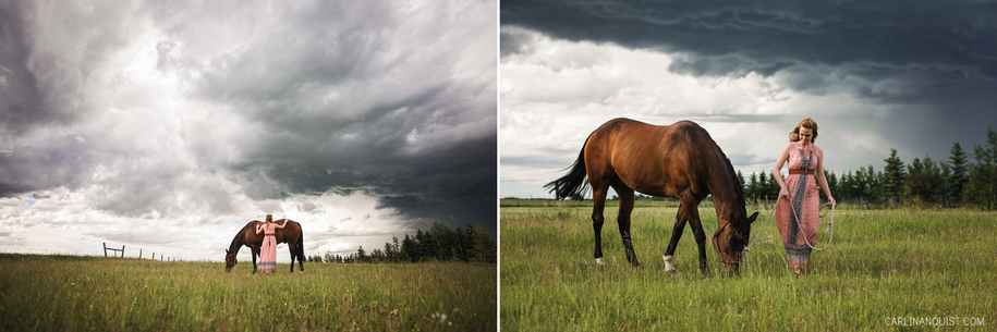 Calgary Equestrian Portrait Photographer