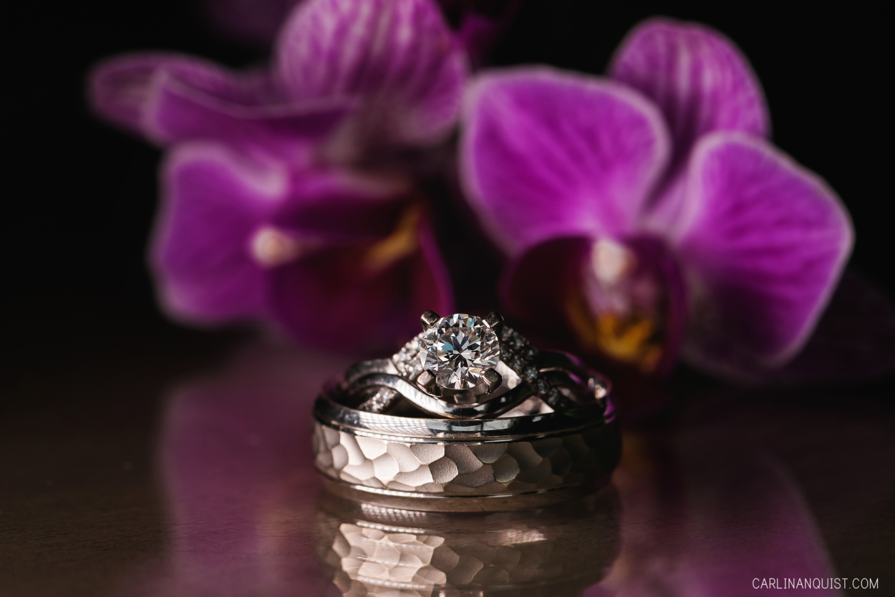 Wedding Rings | Orchids | Macro Photography