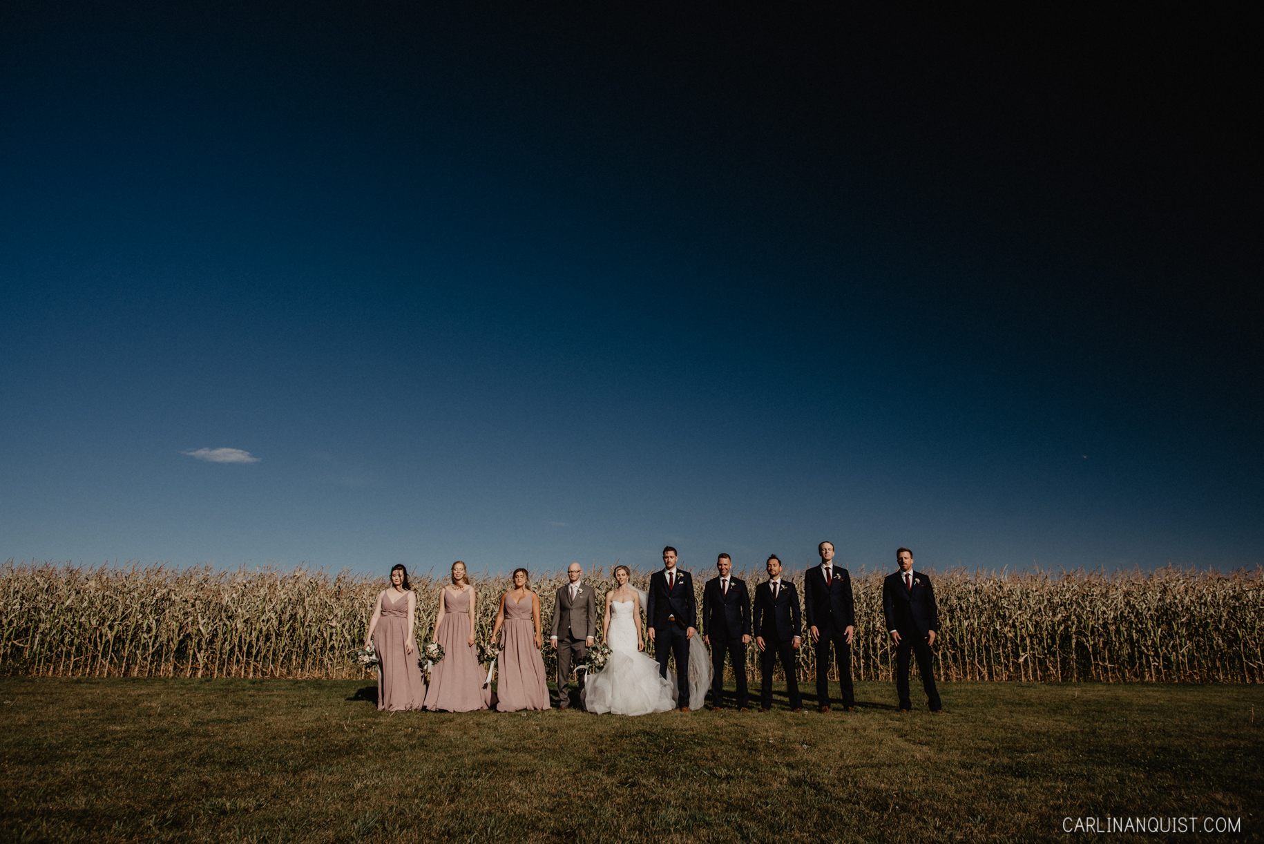 Bridal Party Standing in front of Corn Field