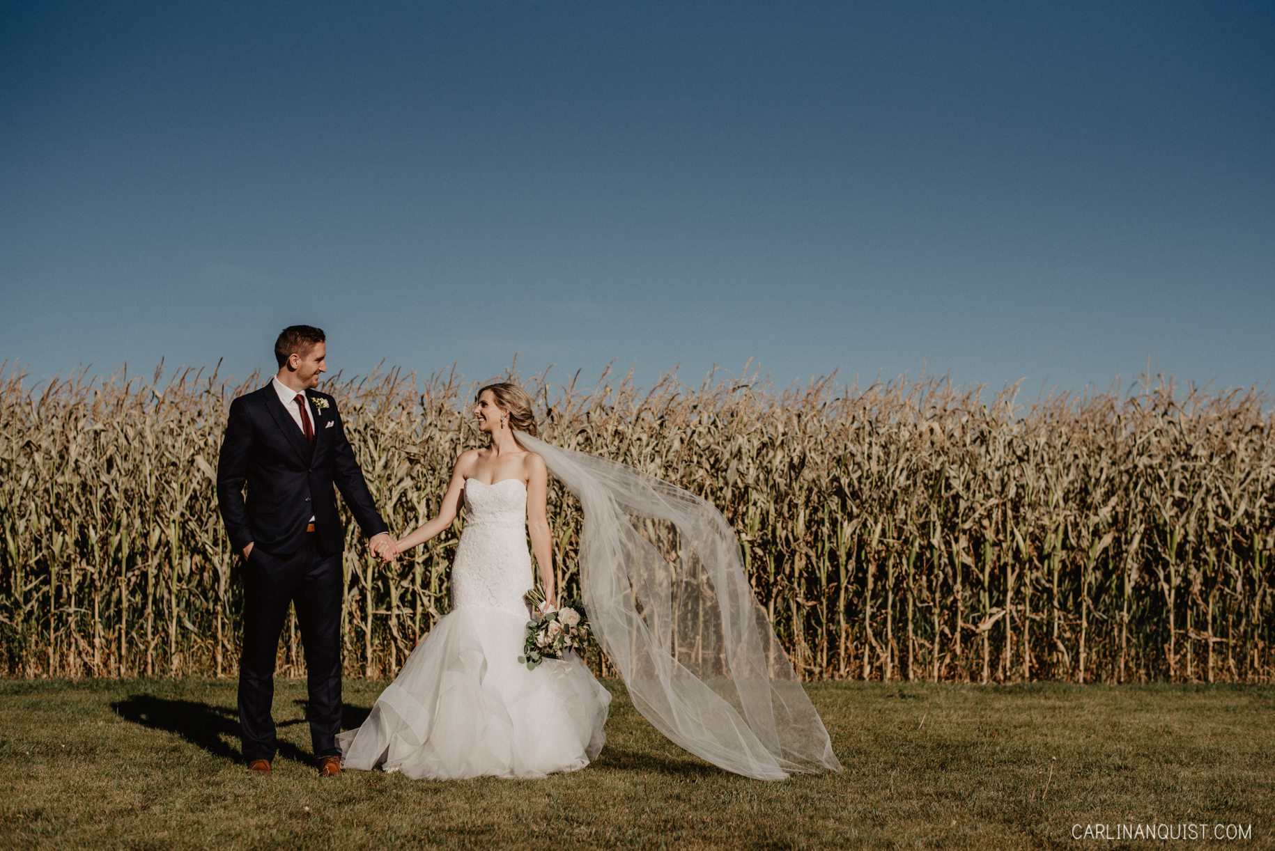 Bride & Groom Portraits in front of Corn Field
