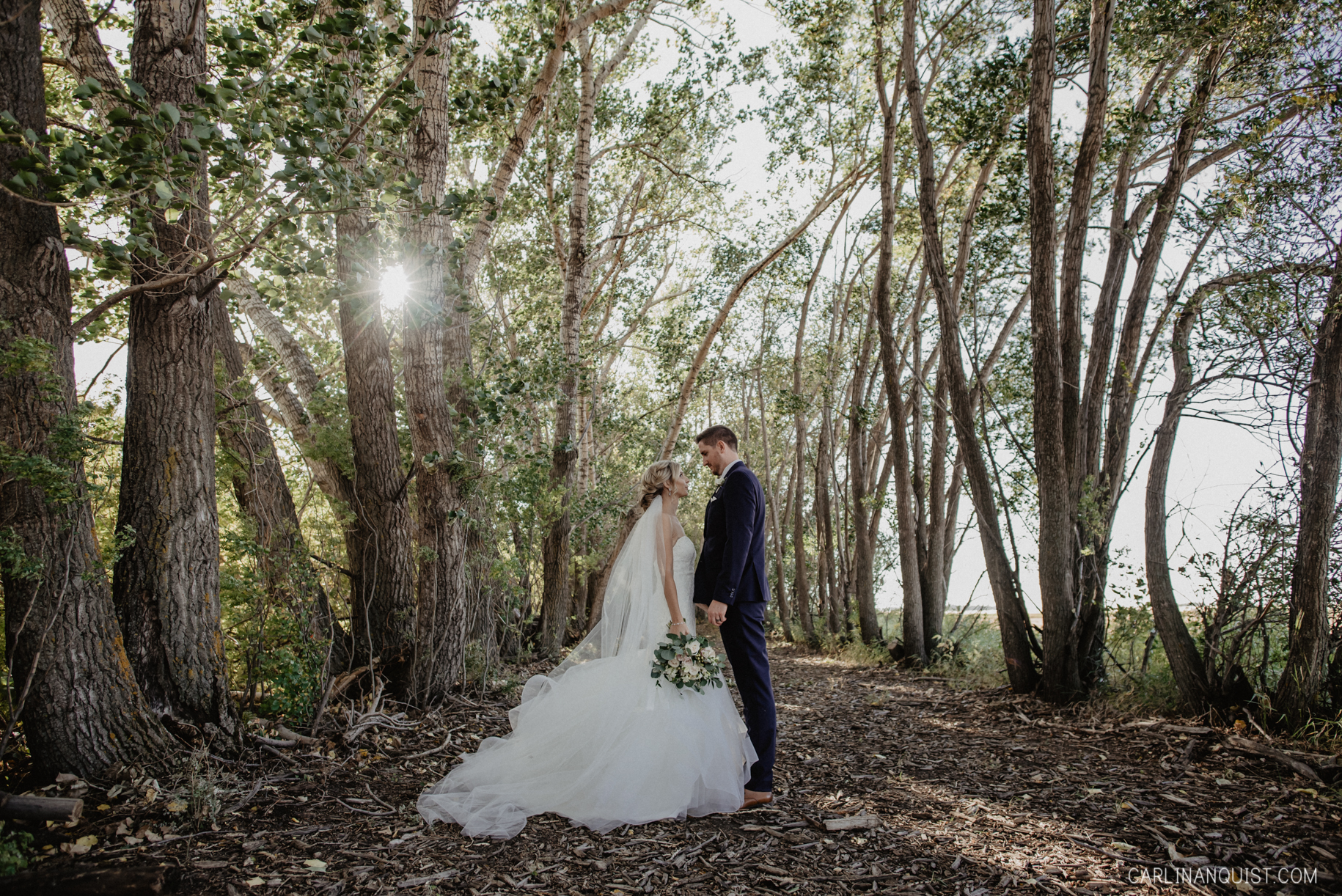 Bride & Groom in the Trees | Olds Wedding Photographer