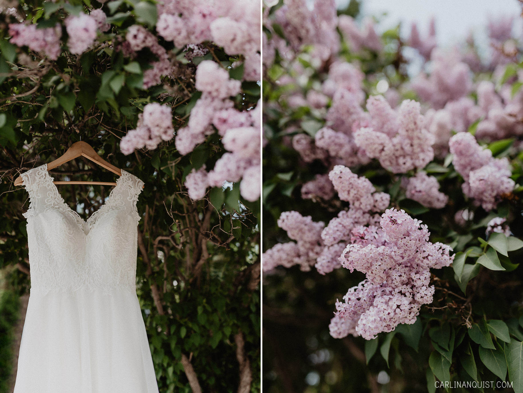 Lilacs and Wedding Gowns