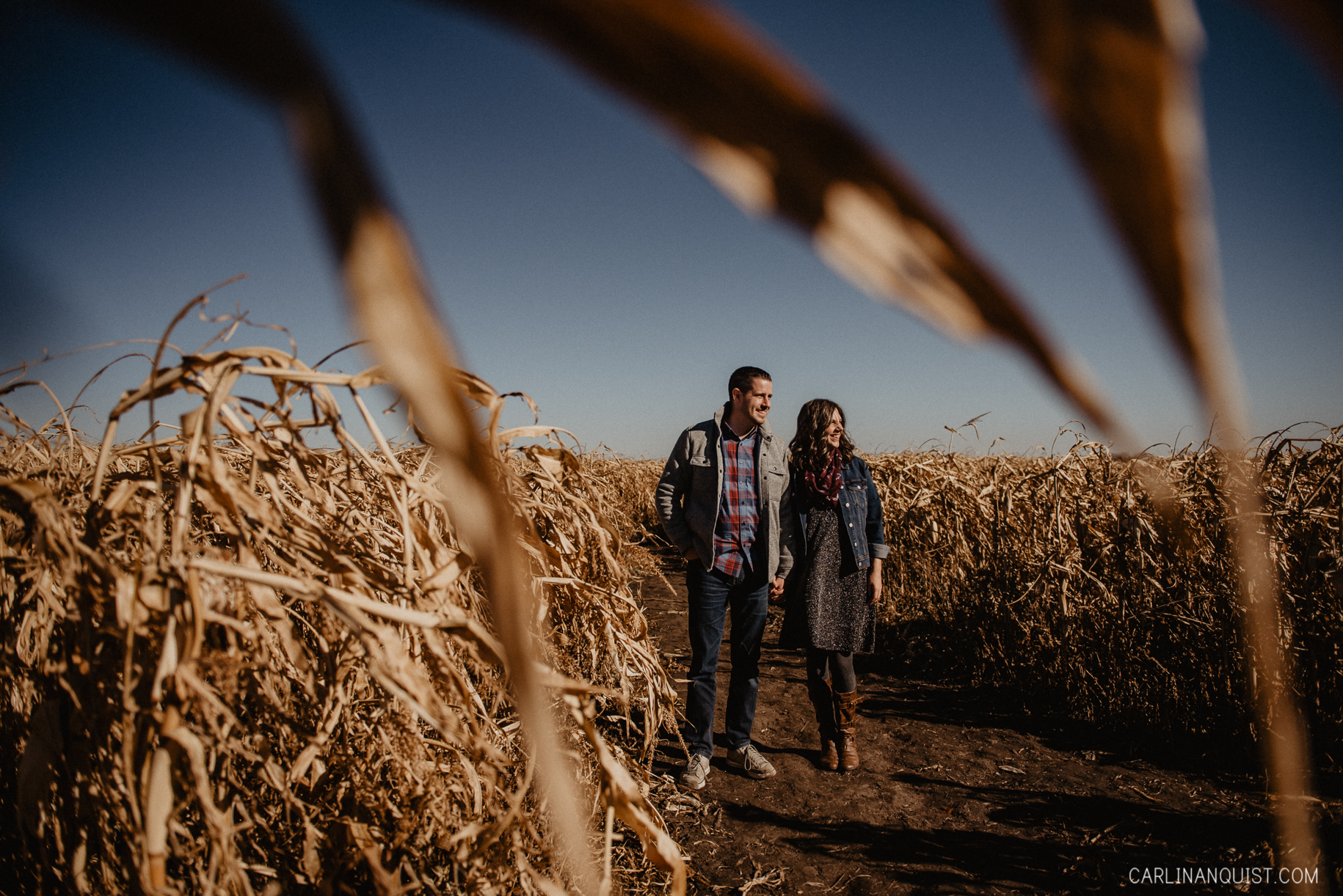 Couples Photo in Corn Maze